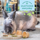 Enriched Life - 竹制球池