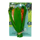 Enriched Life - Celebration Bouquet