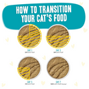 Canned Cat Food - BFF PLAY Paté - Topsy Turvy - Chicken & Turkey Dinner in a Hydrating Purée