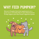 Wet Food Supplement For Dogs & Cats - PUMPKIN PATCH UP! - Pumpkin with Ginger & Turmeric