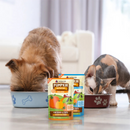 Wet Food Supplement For Dogs & Cats - PUMPKIN PATCH UP! - Pumpkin with Ginger & Turmeric