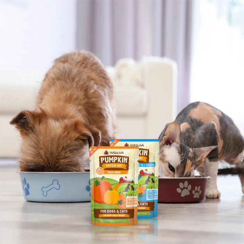 Wet Food Supplement For Dogs & Cats - PUMPKIN PATCH UP! - Pumpkin with Ginger & Turmeric