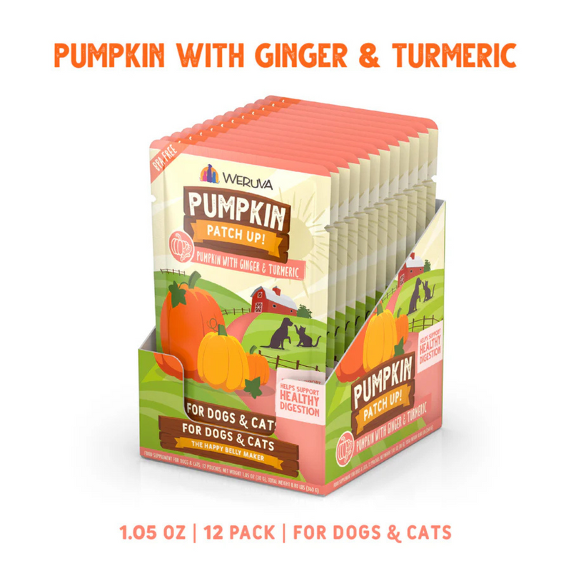 Wet Food Supplement For Dogs & Cats - PUMPKIN PATCH UP! - Pumpkin with Ginger & Turmeric