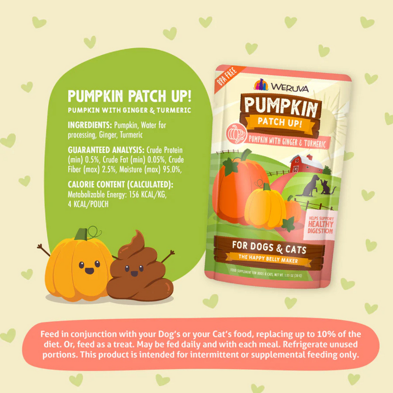 Wet Food Supplement For Dogs & Cats - PUMPKIN PATCH UP! - Pumpkin with Ginger & Turmeric