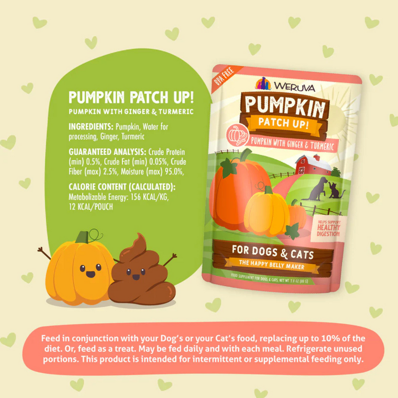 Wet Food Supplement For Dogs & Cats - PUMPKIN PATCH UP! - Pumpkin with Ginger & Turmeric