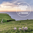 Freeze Dried Dog Food - Lamb & King Salmon Feast