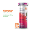 Catnip - Purrple Passion - Silvervine & Catnip Blend