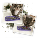 Catnip Blends, Meowi-Waui, Catnip Bud Shake