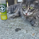Catnip Blends, Meowi-Waui, Catnip Bud Shake