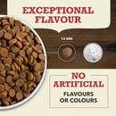 Dry Dog Food - Red Meat Recipe