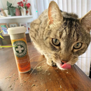 Catnip - Kalico Kush - Valerian Root & Catnip Blend