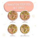 Canned Dog Food - CLASSIC - Jammin’ Salmon - with Chicken & Salmon in Pumpkin Soup