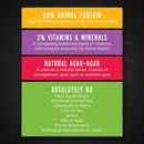 Canned Cat Food - Beef Recipe