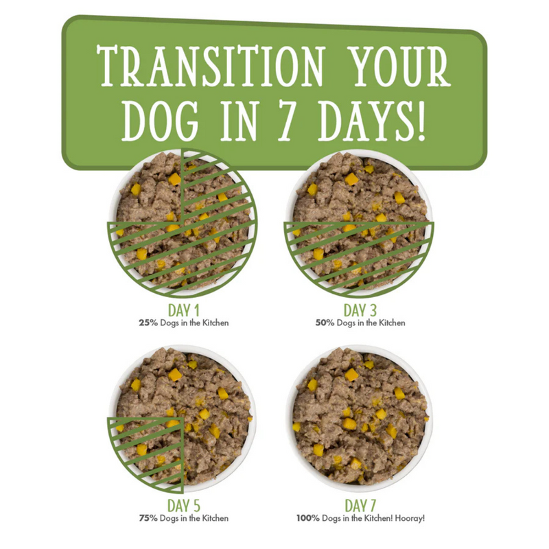 Canned Dog Food - Dogs in the Kitchen - Lamburgini - Lamb & Pumpkin Au Jus