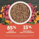 Canned Dog Food - Premium Pâté - Beef Recipe