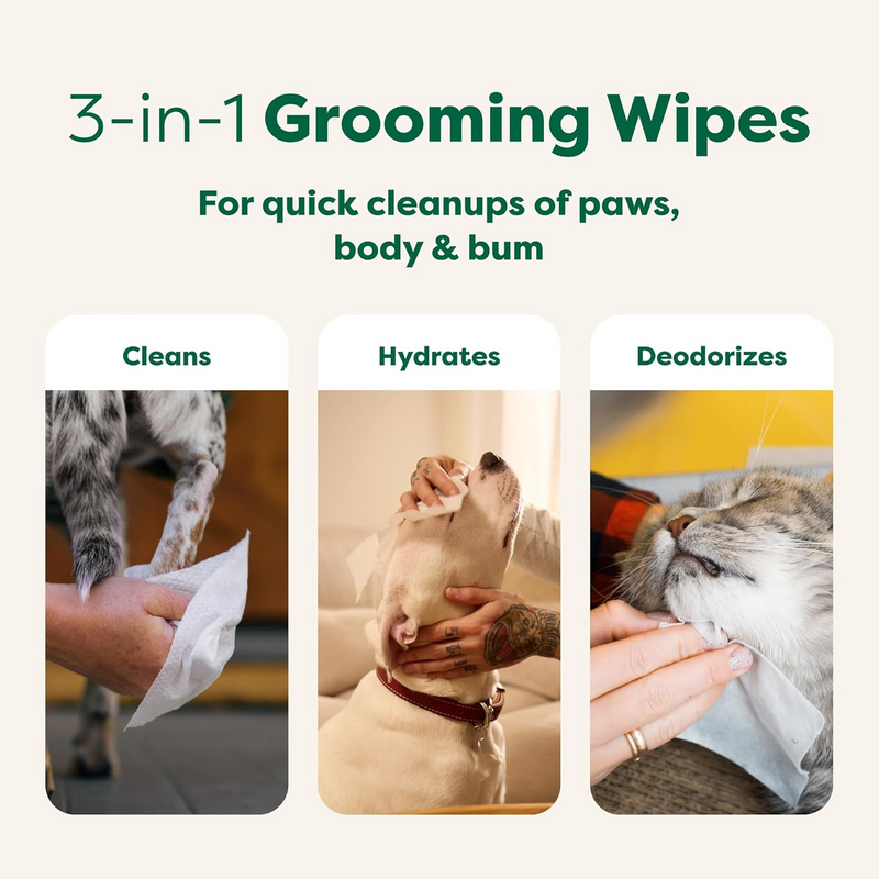 Textured Pet Grooming Wipes - White Tea & Basil