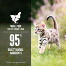 Canned Cat Food - Pâté - Chicken & Salmon Entrée - Kitten