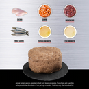 Canned Cat Food - Pâté - Chicken & Salmon Entrée - Kitten