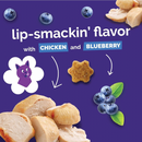 Crunchy Cat Treat - Chicken Flavor with Blueberry