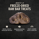 Freeze Dried Dog Treat - Raw Bar - Pig Snout