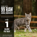 Freeze Dried Cat Treat - Original