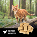 Freeze Dried Cat Treat - Original