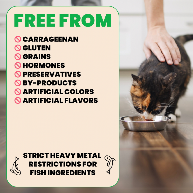 Canned Cat Treat - Natural HQS - Tuna & Shrimp in Broth - Adult