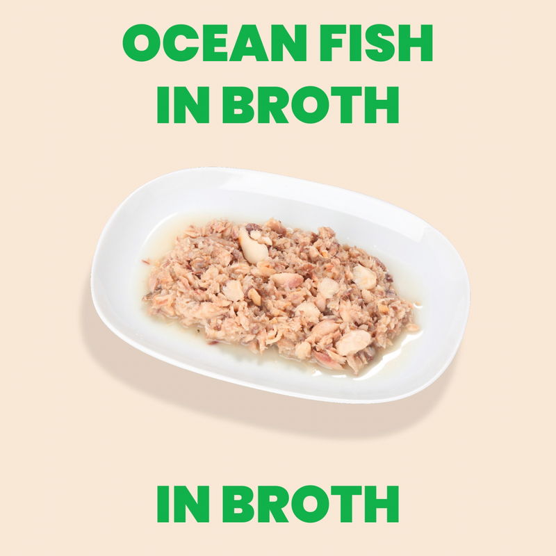 Canned Cat Treat - Natural HQS - Ocean Fish in Broth - Adult