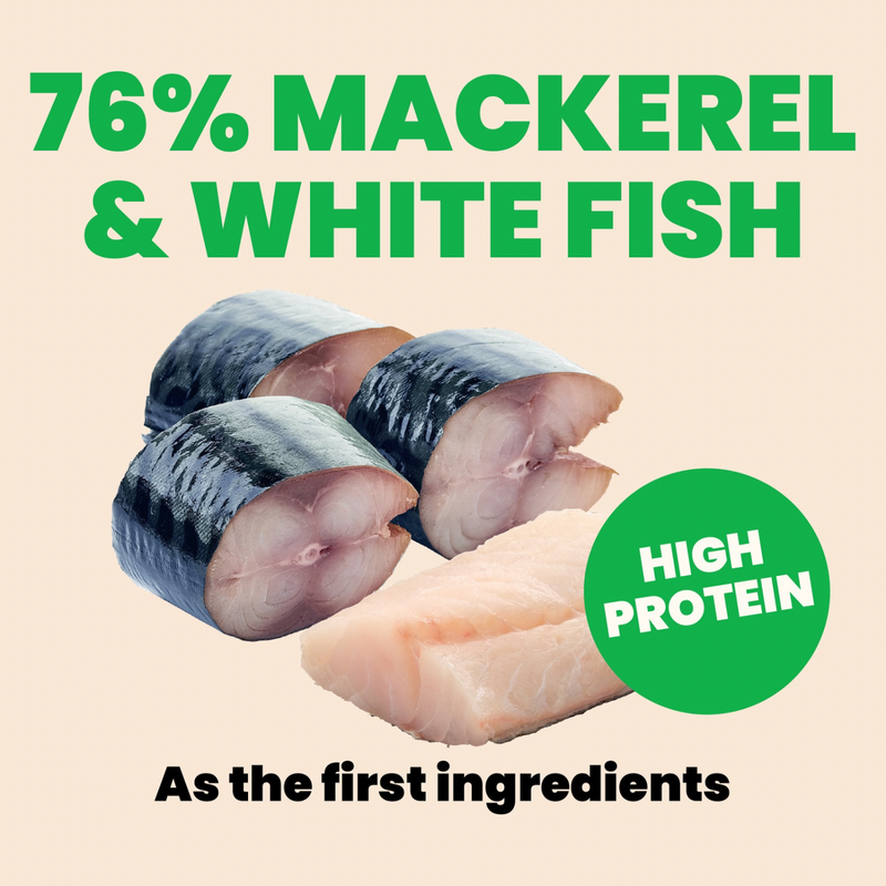 Canned Cat Treat - Natural HQS - Ocean Fish in Broth - Adult