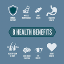 Dry Cat Food - Guardian 8 - Adult