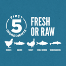 Dry Cat Food - Guardian 8 - Adult