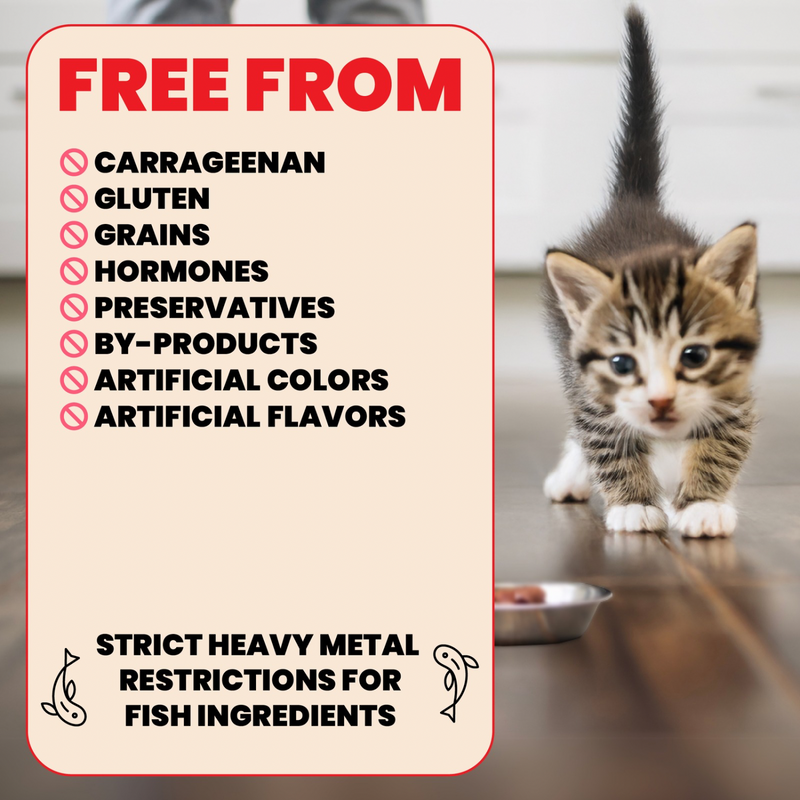 幼猫零食罐头 - HQS Natural - 鸡肉汤汁配方