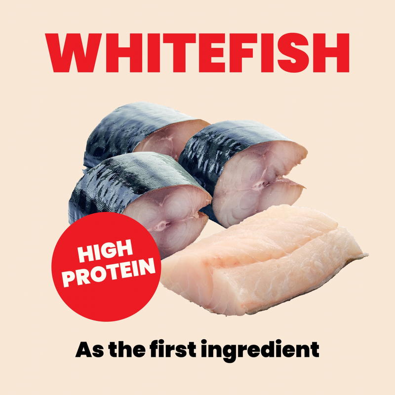 Canned Cat Treat - Natural HQS - Whitefish with Mackerel in Broth - Kitten