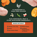 Dry Dog Food - Raw Boost+, Gut Health - Adult