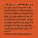 Dry Dog Food - Raw Boost+, Gut Health - Adult