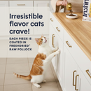 Dry Cat Food - Original - Raw Coated - Real Chicken Recipe