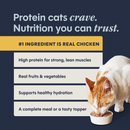 Canned Cat Food - Original Patés - Real Chicken Entrée