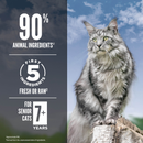 Dry Cat Food - Guardian 8 - Senior
