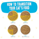 Canned Cat Food - BFF OMG Gravy! - Cloud 9 - Chicken Dinner in Gravy