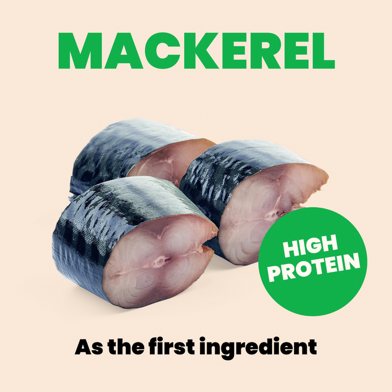 成猫罐头 - HQS Mousse - 鲭鱼鸡肉肉汁款