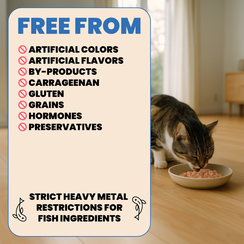 Canned Cat Food - Complete HQS - Chicken Recipe with Turkey in Gravy - Adult