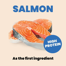 Canned Cat Food - Complete HQS - Salmon Recipe with Apple in Gravy - Adult