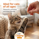 Gâterie pour chats en conserve - Filet de thon avec fromage dans du bouillon