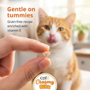 Gâterie pour chats en conserve - Filet de thon avec fromage dans du bouillon