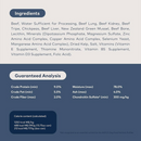 Canned Dog Food - Beef Recipe