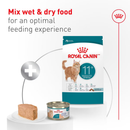 Canned Cat Food - Aging 11+, Ultra Soft Mousse in Sauce