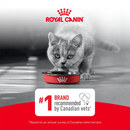 Canned Cat Food - Aging 11+, Ultra Soft Mousse in Sauce