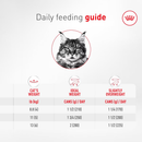 Canned Cat Food - Aging 11+, Ultra Soft Mousse in Sauce