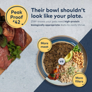 风干狗粮 - 牛肉