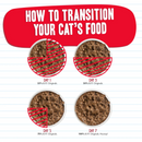 Canned Cat Food - BFF Minced - Too Cool - Tuna Dinner in Gelée